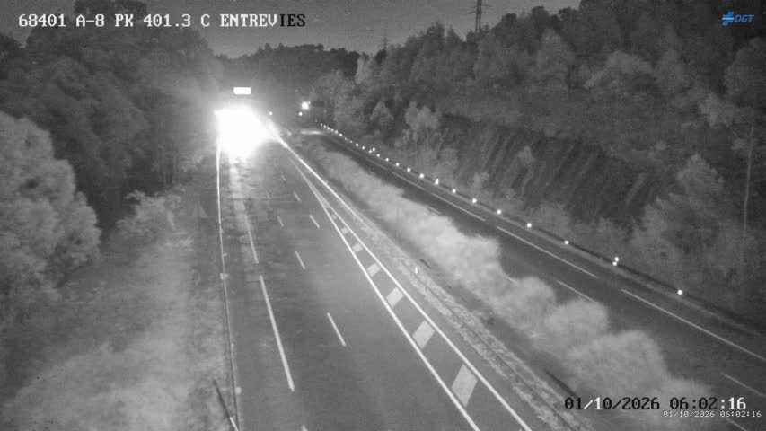 Cámara A-8 Asturias Km 401,3