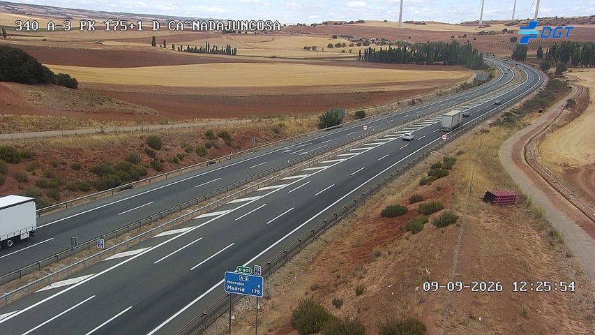 Cámara Puebla del Salvador (Km 175.1)