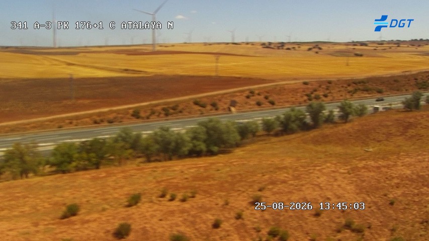 Cámara Puebla Salvador (Km 176.1)