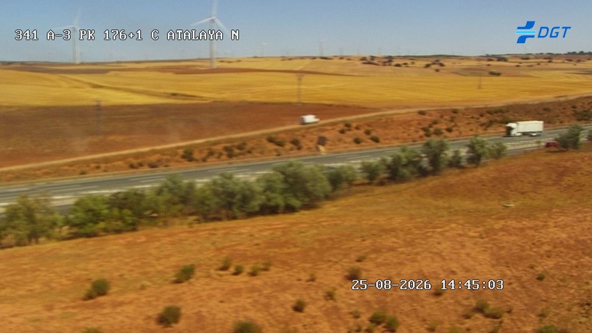 Cámara Puebla Salvador (Km 176.1)