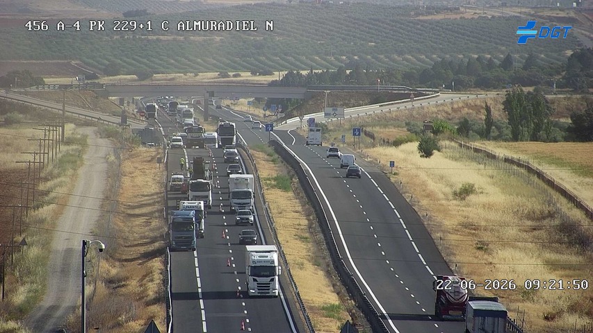 Cámara Almuradiel Norte (Km 229.1)