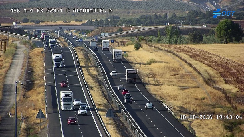 Cámara Almuradiel Norte (Km 229.1)